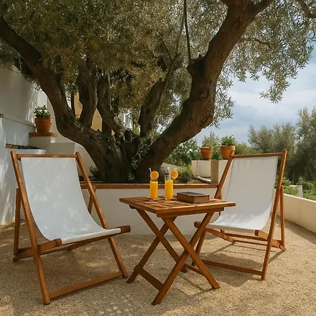 Casa Da Do Ribatejo Frühstückspension 3*